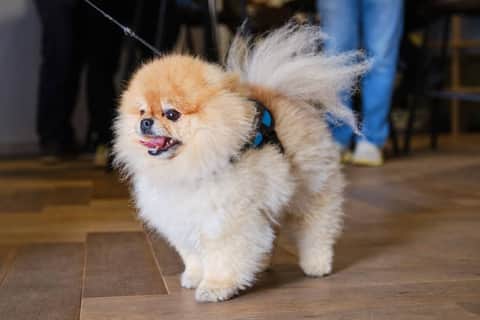 The Oakgate, Surrey, KT22 7RZ - 1 of 17